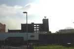 Maple Mill after fire